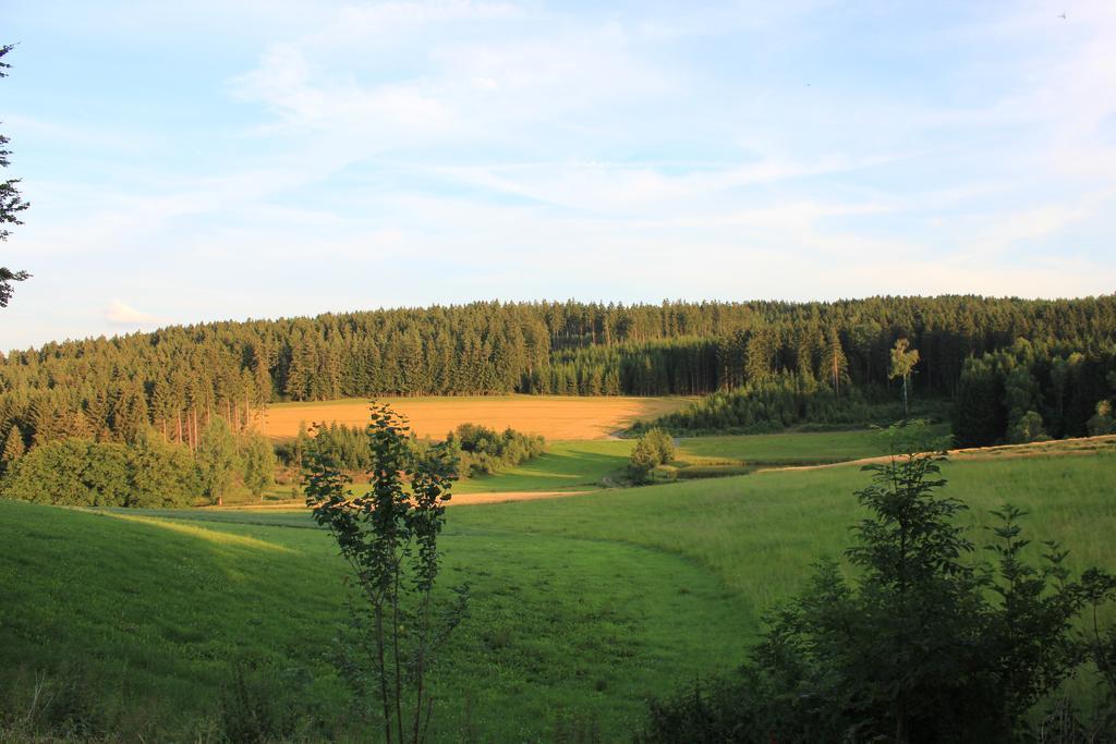 Landgasthof Haueis Marktleugast Екстер'єр фото