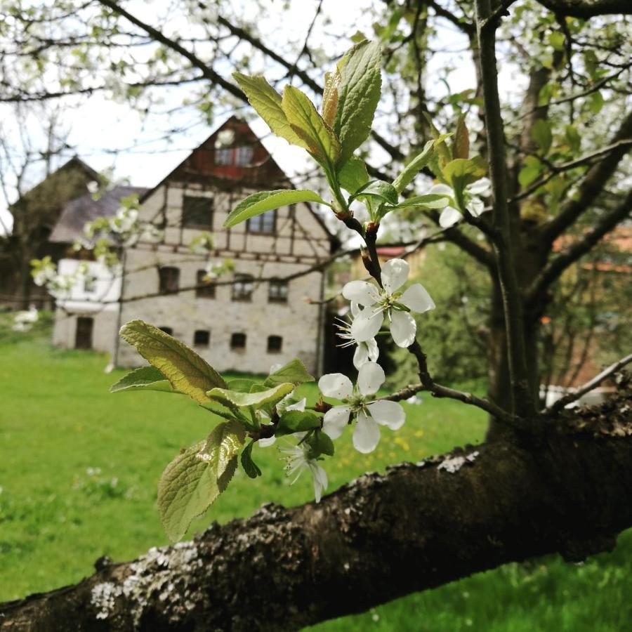 Landgasthof Haueis Marktleugast Екстер'єр фото